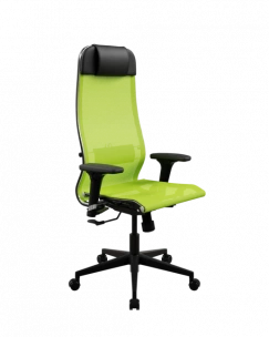 Кресло SynchroSit 10 ErgoLife Set 4/подл.200/осн.Synchro 002