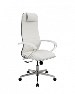 Кресло SynchroSit 10 ErgoLife Set 6/подл.116/осн.Synchro 004