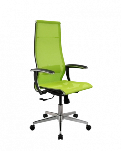 Кресло SynchroSit 10 ErgoLife Set 7/подл.158/осн.Synchro 004