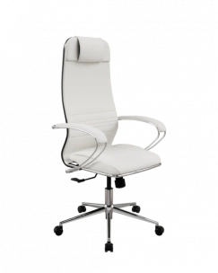 Кресло SynchroSit 10 ErgoLife Set 6/подл.116/осн.Synchro 052